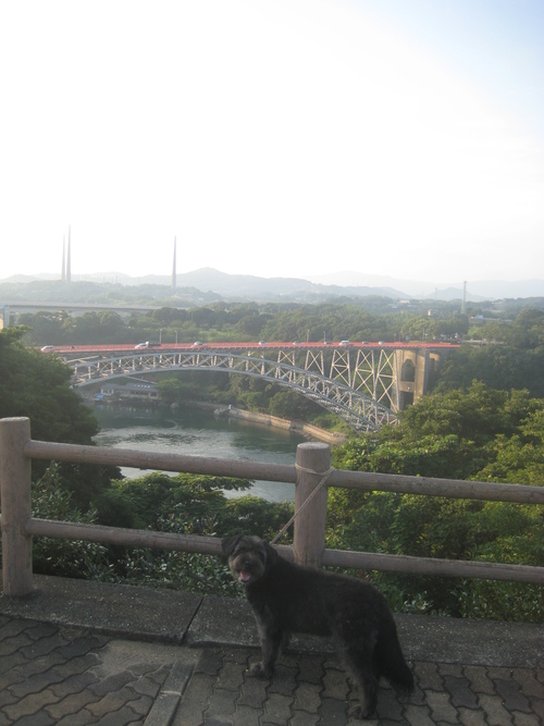 作り込みして西海市へ。_d0195183_2515612.jpg