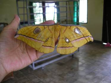 e0118683_20443999.jpg
