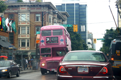 Big Pink Bus Tour_d0129786_11101792.jpg