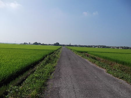 f0235289_859649.jpg