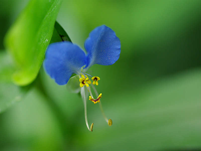 f0204094_2052011.jpg