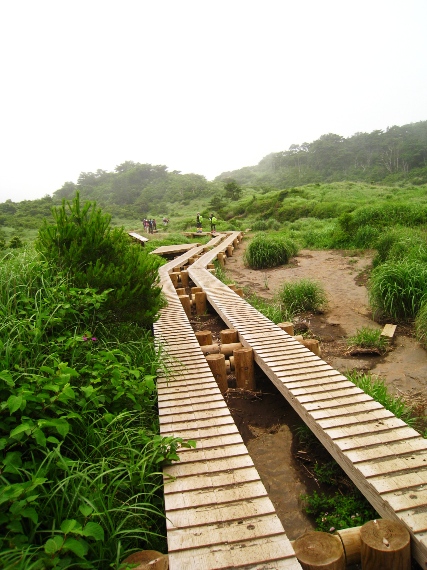 雨ヶ池～九重登山口_a0097006_1994718.jpg