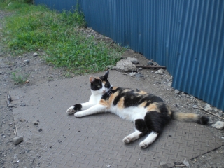 d0131207_17354360.jpg