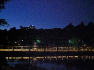 d0131207_17361427.jpg