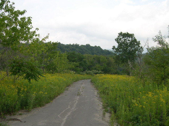 d0119909_861143.jpg