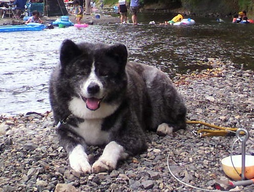 f0121712_1156098.jpg