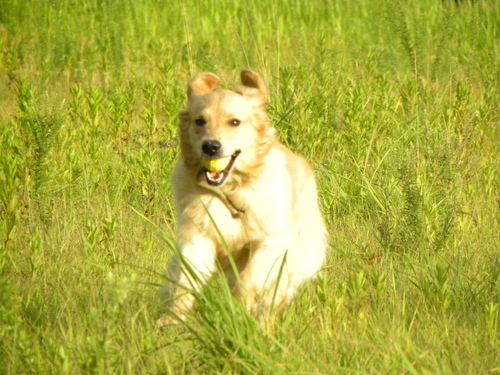 e0204314_8275247.jpg