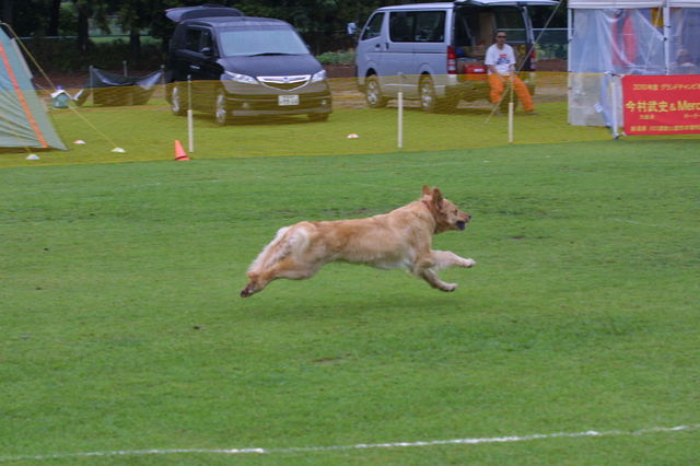 e0204314_8453792.jpg