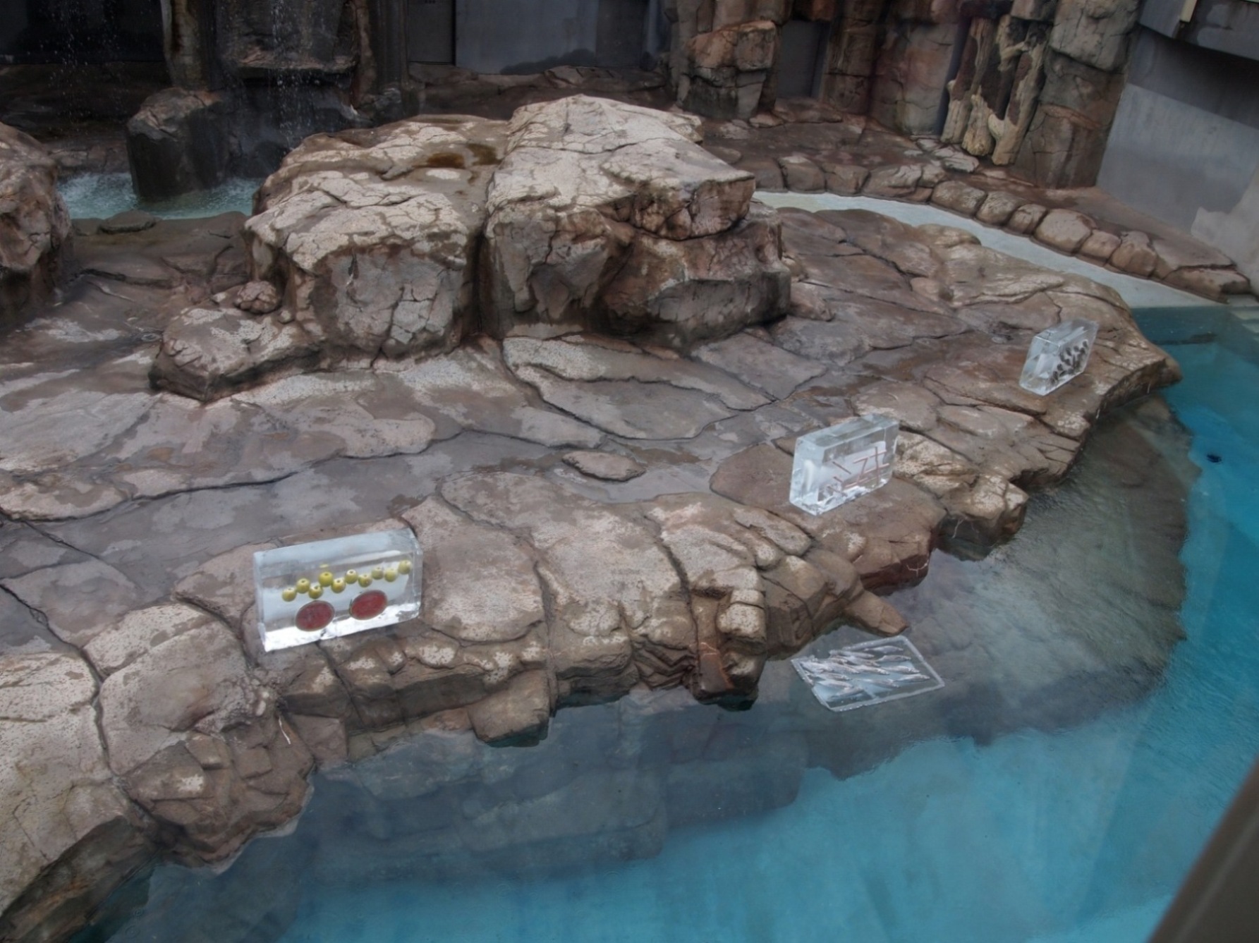 e0163618_22532476.jpg