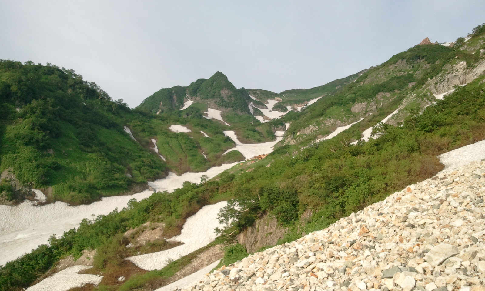 b0062024_552203.jpg