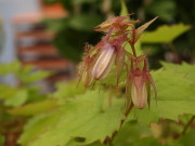 b0147224_10544986.jpg
