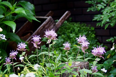 f0170524_16393011.jpg