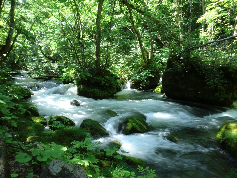 d0130927_853188.jpg