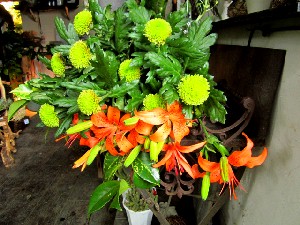 フェイク_c0102228_19572373.jpg