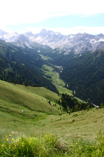 d0055236_13402958.jpg