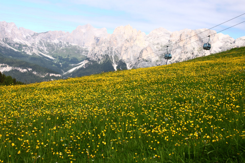 d0055236_1340669.jpg