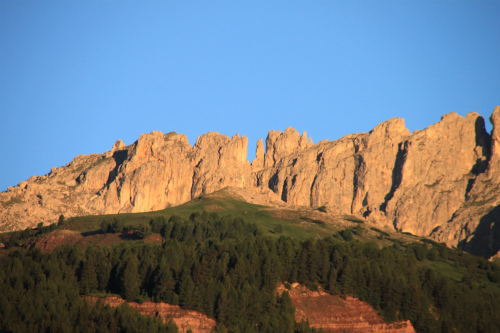 d0055236_134510.jpg