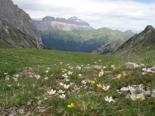 d0055236_1634553.jpg