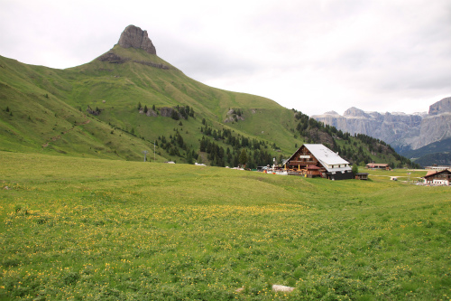 d0055236_1654318.jpg