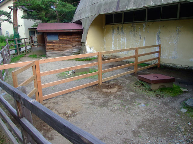 さっそくボランティア活動中?_a0179837_18254138.jpg