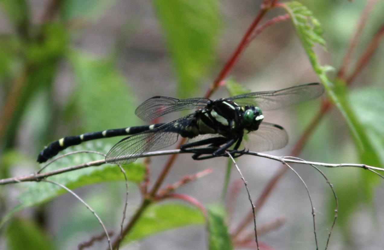 c0172139_055266.jpg