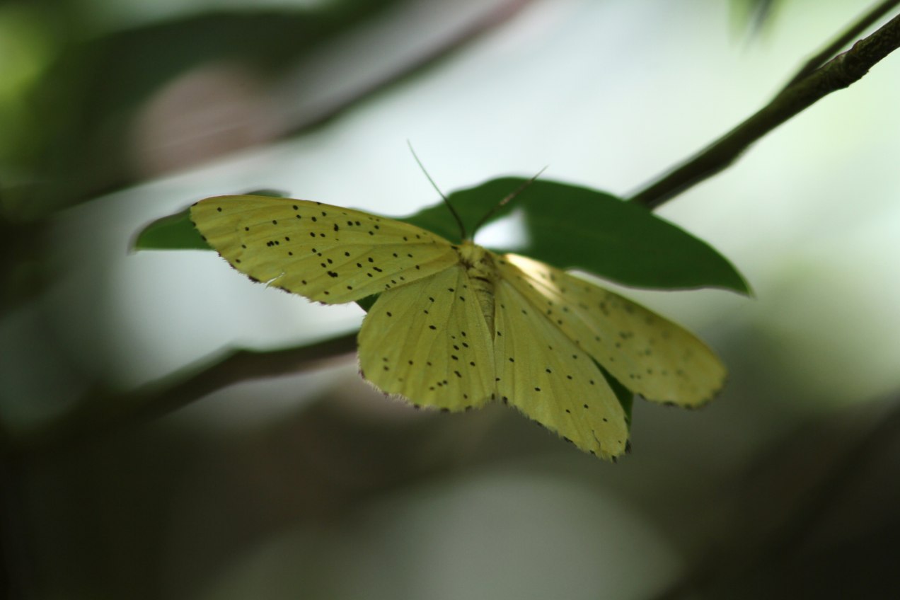 c0172139_2152562.jpg