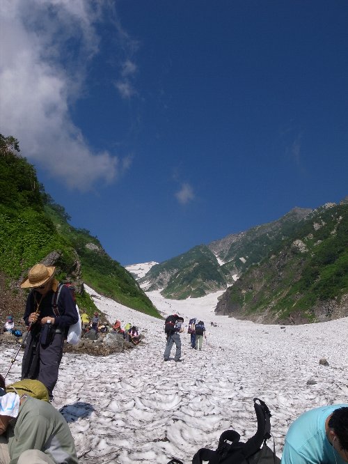 雪渓まみれ、花まみれ（白馬岳～初日編）_c0078441_16344526.jpg