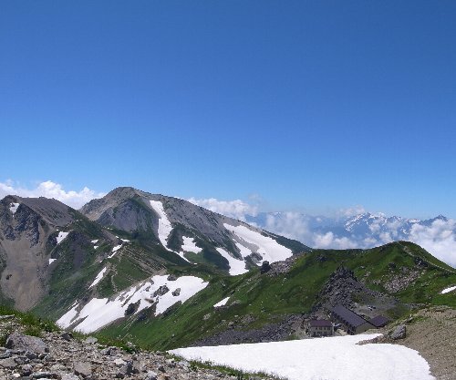 雪渓まみれ、花まみれ（白馬岳～初日編）_c0078441_16503120.jpg