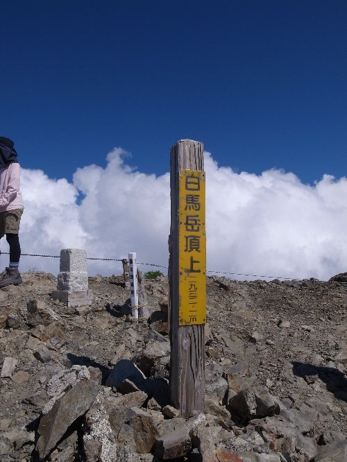 雪渓まみれ、花まみれ（白馬岳～初日編）_c0078441_1654971.jpg