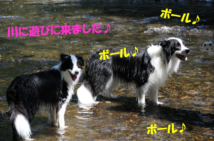 c0147241_0382762.jpg
