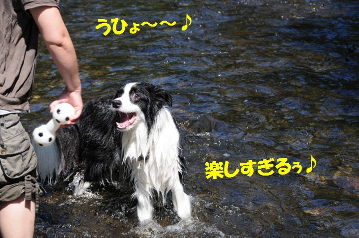 c0147241_0383237.jpg