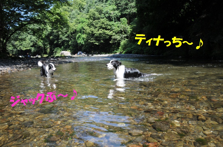 c0147241_0383923.jpg