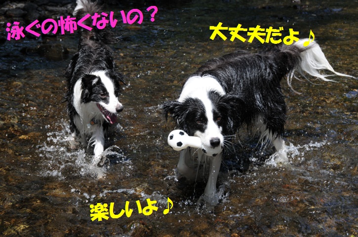 c0147241_0384757.jpg