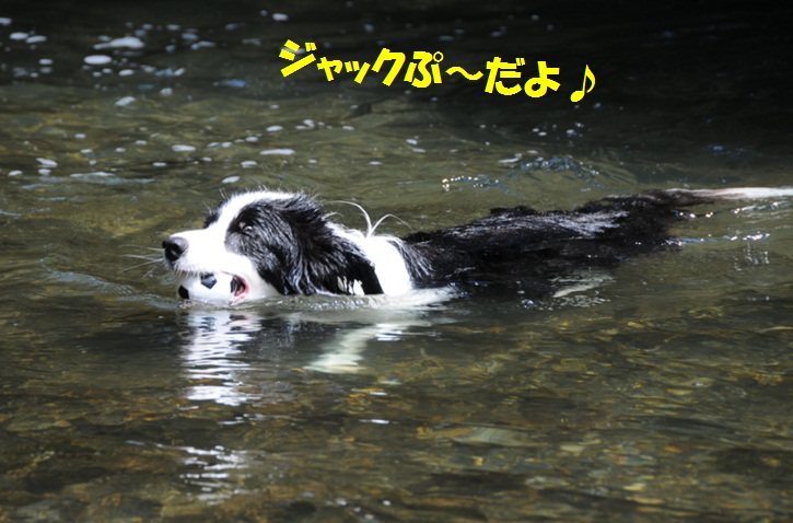 c0147241_0392414.jpg