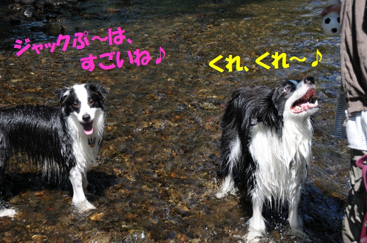 c0147241_039272.jpg