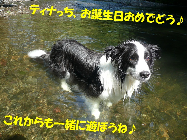 c0147241_0393870.jpg