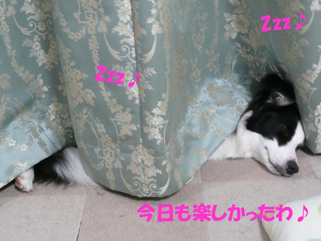 c0147241_0395096.jpg