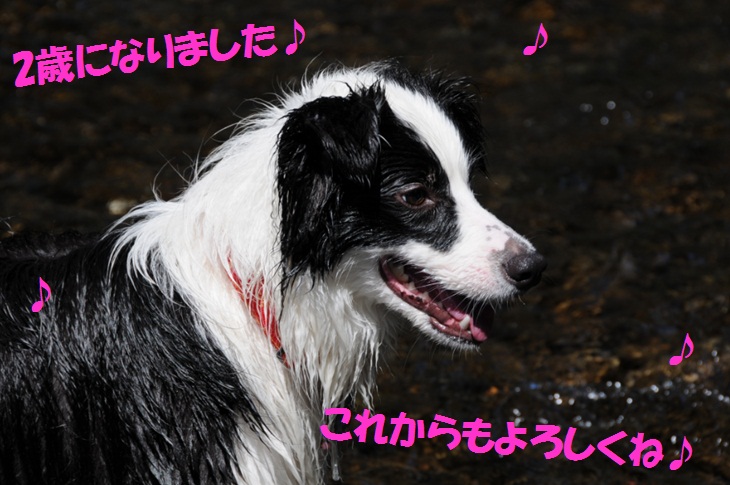 c0147241_039847.jpg