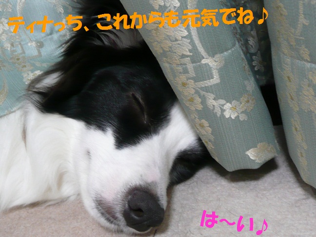 c0147241_040415.jpg