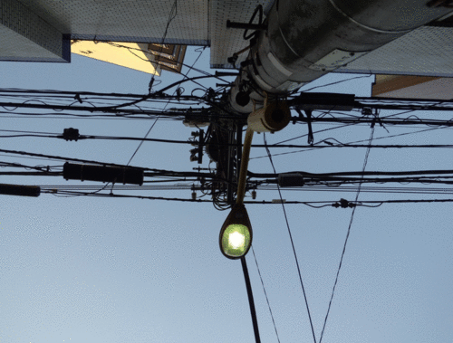 今日は一日、3D写真を撮ってました(2/2)_c0060143_2273050.gif
