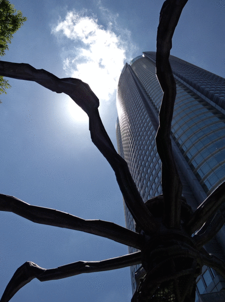 今日は一日、3D写真を撮ってました(1/2)_c0060143_293118.gif