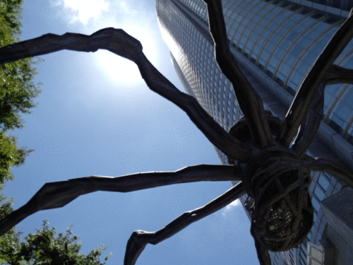 今日は一日、3D写真を撮ってました(1/2)_c0060143_294075.gif