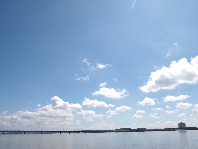 b0165444_90063.jpg
