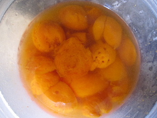 d0063149_20201651.jpg