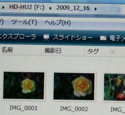 e0126350_21473652.jpg