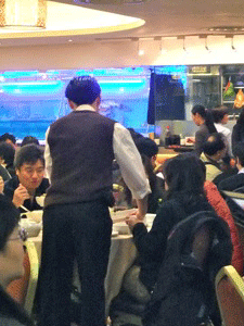 f0190653_13261975.gif