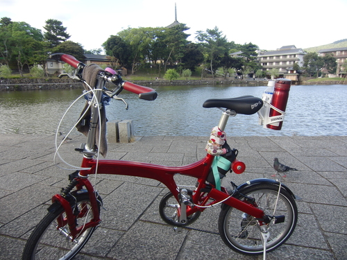 d0226154_041431.jpg
