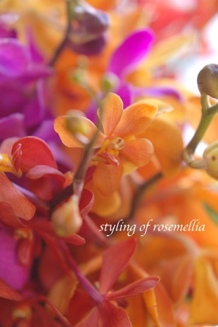 Summer Arrangement_d0078355_1225973.jpg