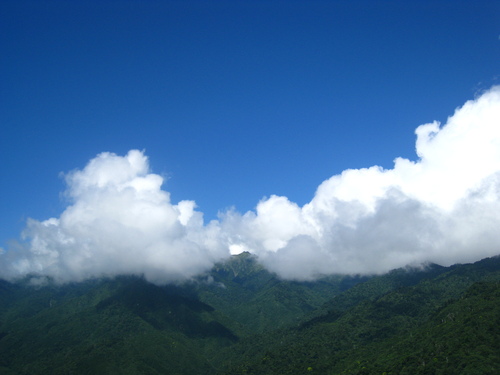 b0160957_9502636.jpg