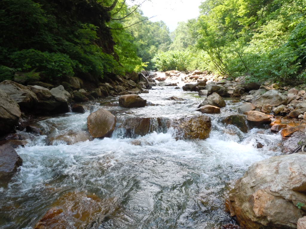f0145963_22585842.jpg